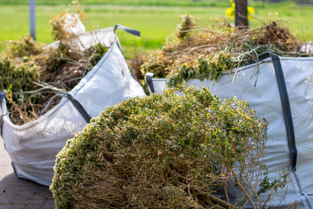 Best Affordable Junk Removal Services  in Bridgeport, WV
